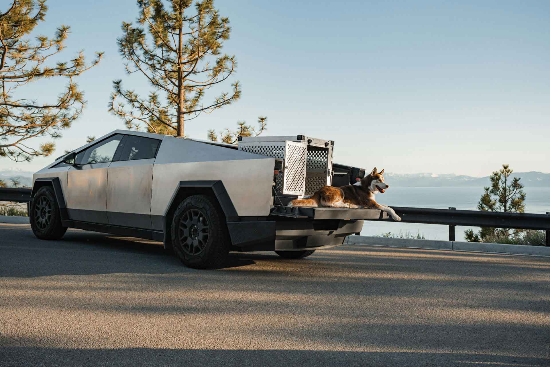 EV Car Shipping in 2025 EV Car Shipping in 2025